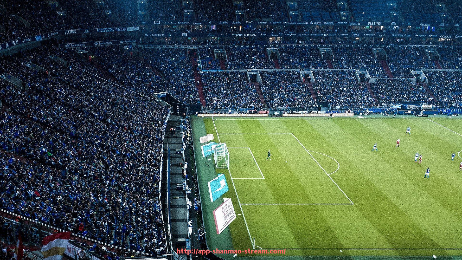 山猫直播官网-健身器材都有什么牌子:从体育训练性能角度的品牌评价