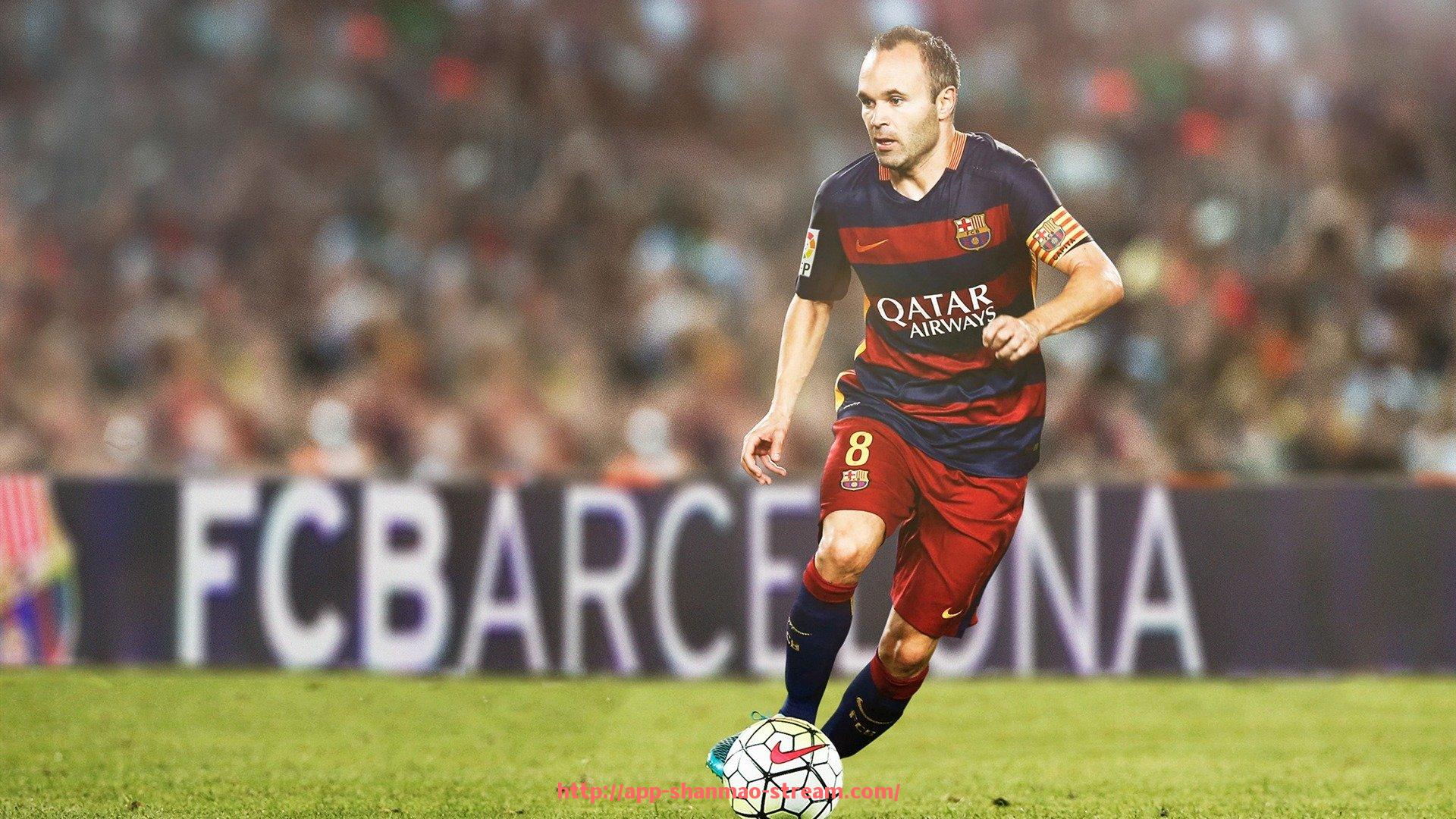 山猫直播官网-健身器材都有什么牌子:从体育训练性能角度的品牌评价