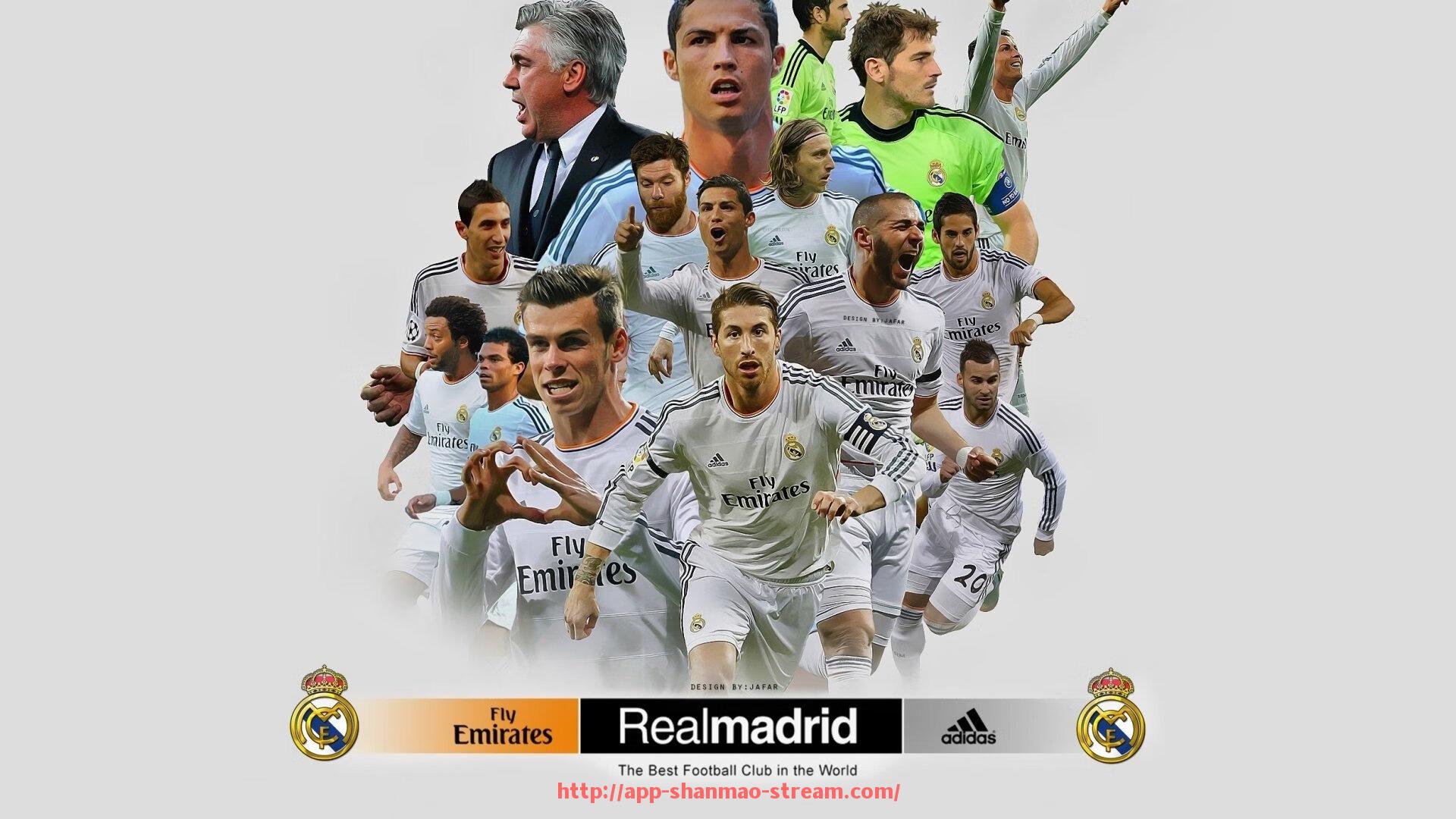 山猫直播官网-火箭队感人图片精选与体育精神文化传递